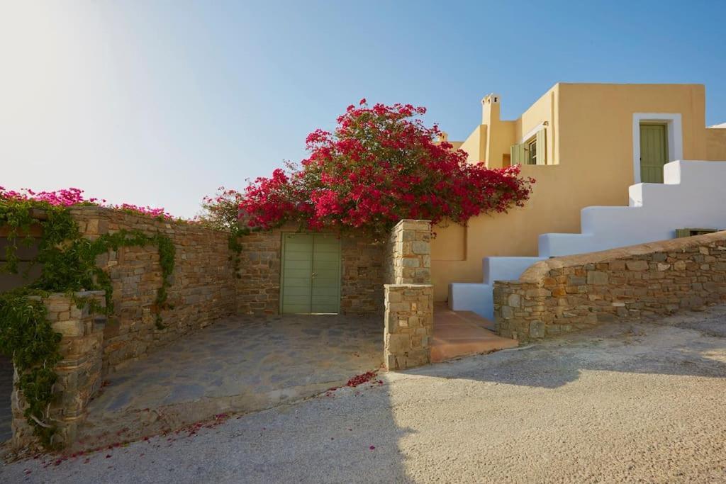 Ochre Dream, Beach Front & Sunset Villa Naousa Esterno foto